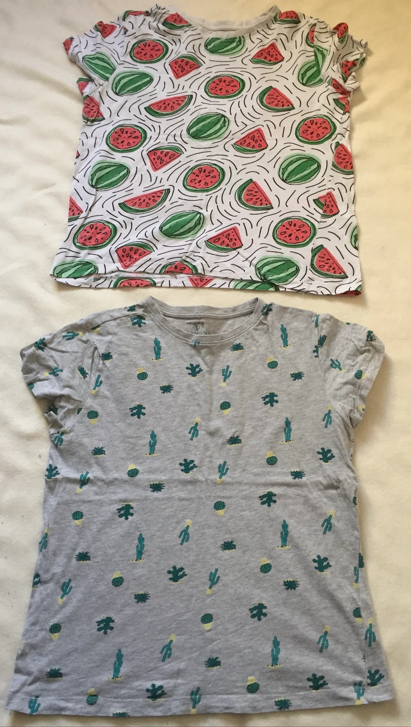 2 T-shirt S pastèque cactus 